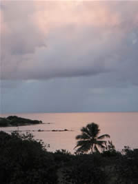 Counselling and Psychotherapy